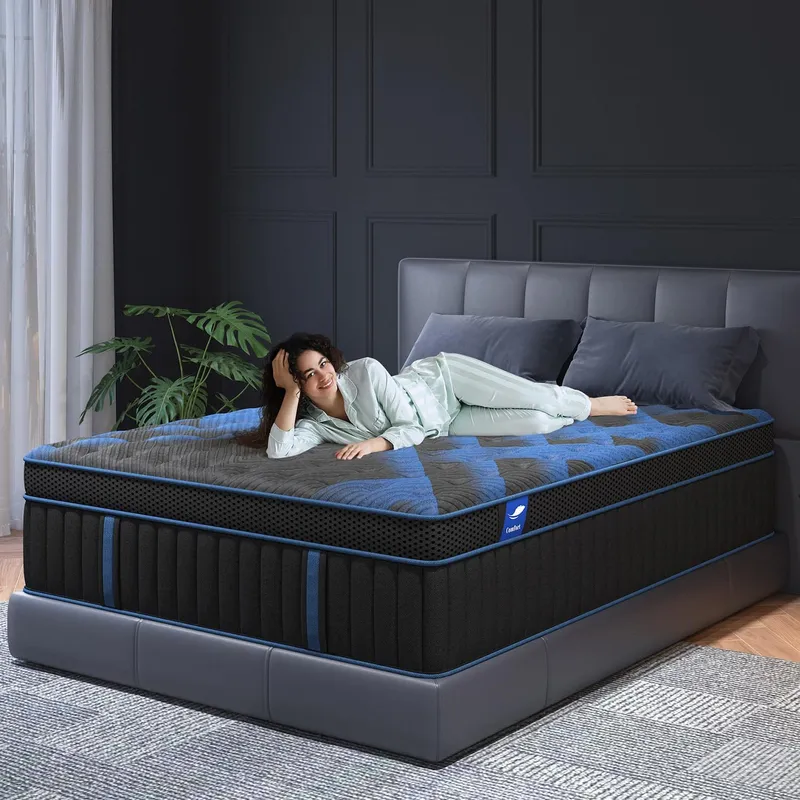 SYPIALNIA Queen Mattress 14 Inch